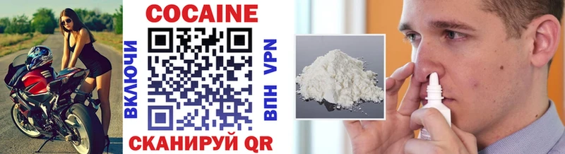 Cocaine FishScale  купить наркоту  Алейск 