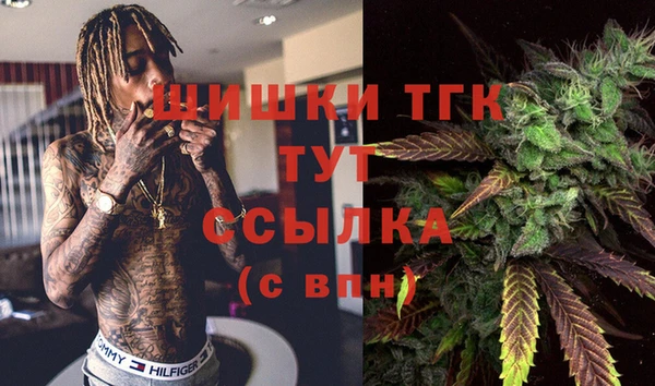 спайс Грязовец