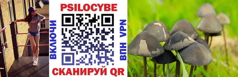 Галлюциногенные грибы MAGIC MUSHROOMS  хочу наркоту  Алейск 