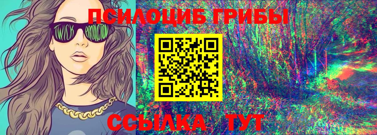 Псилоцибиновые грибы GOLDEN TEACHER  наркошоп  Алейск 