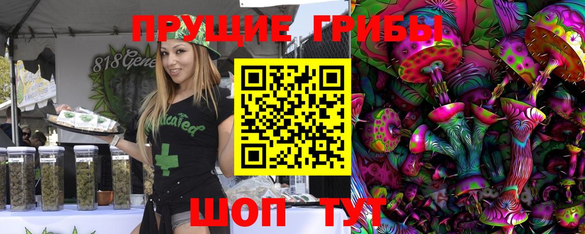 Алейск  Псилоцибиновые грибы мухоморы  Вход с VPN 
