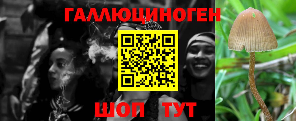 Галлюциногенные грибы Magic Shrooms Алейск
